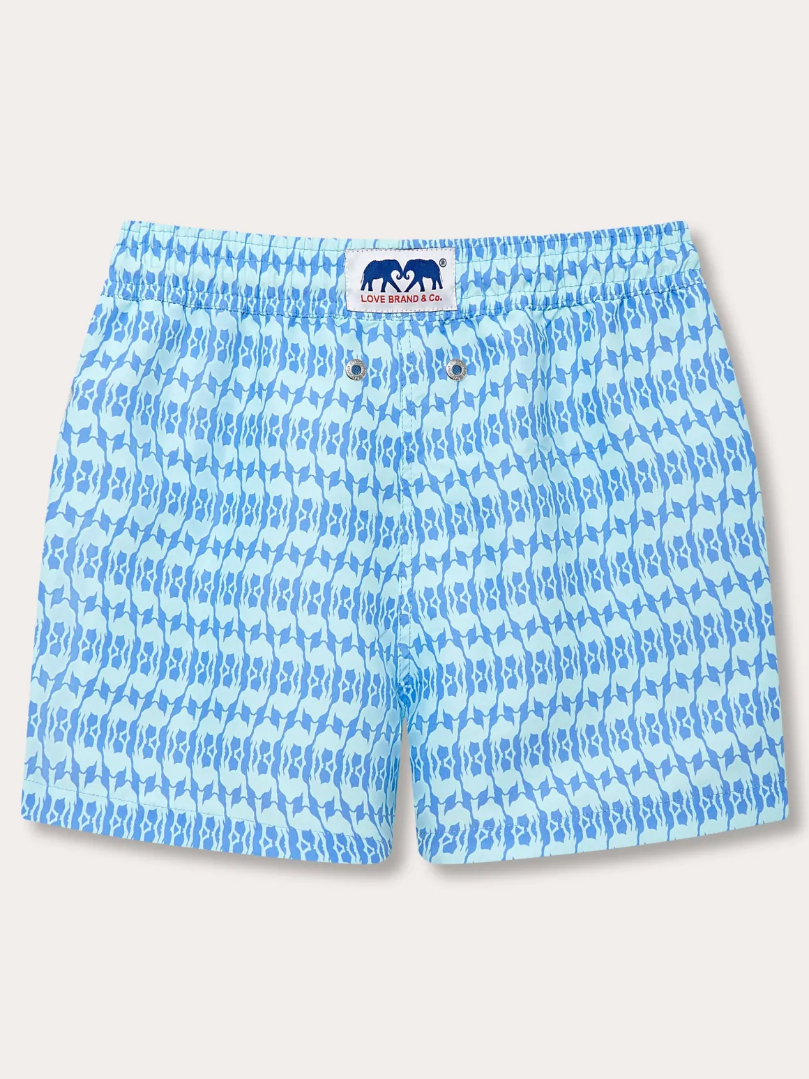 Boys Camel Mirage Sky Staniel Swim Trunks