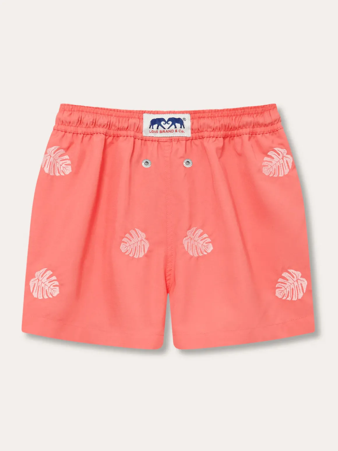 Boys Deliciosa Embroidered Staniel Swim Trunks