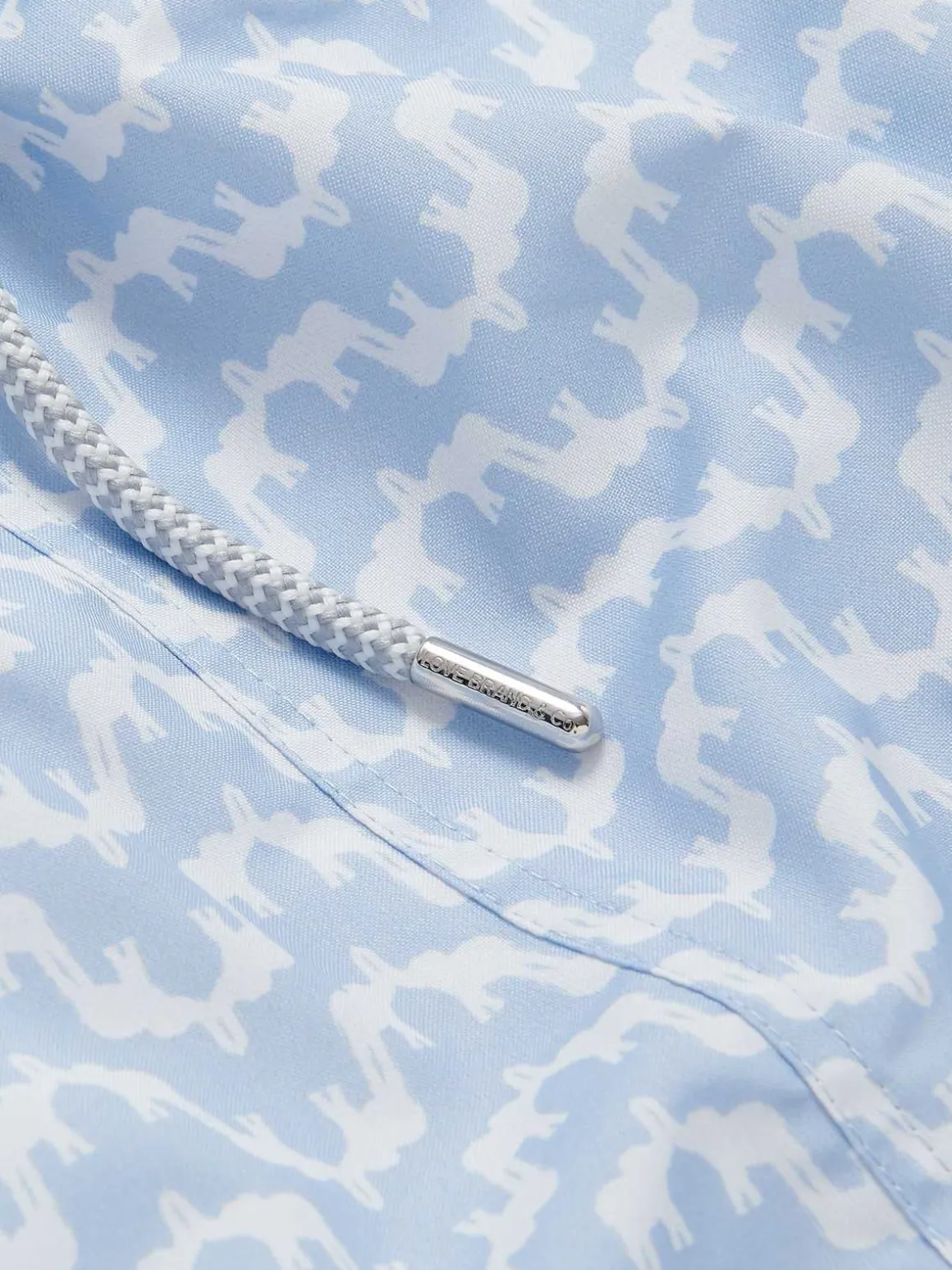 Boys Elephant Palace Sky Staniel Swim Trunks