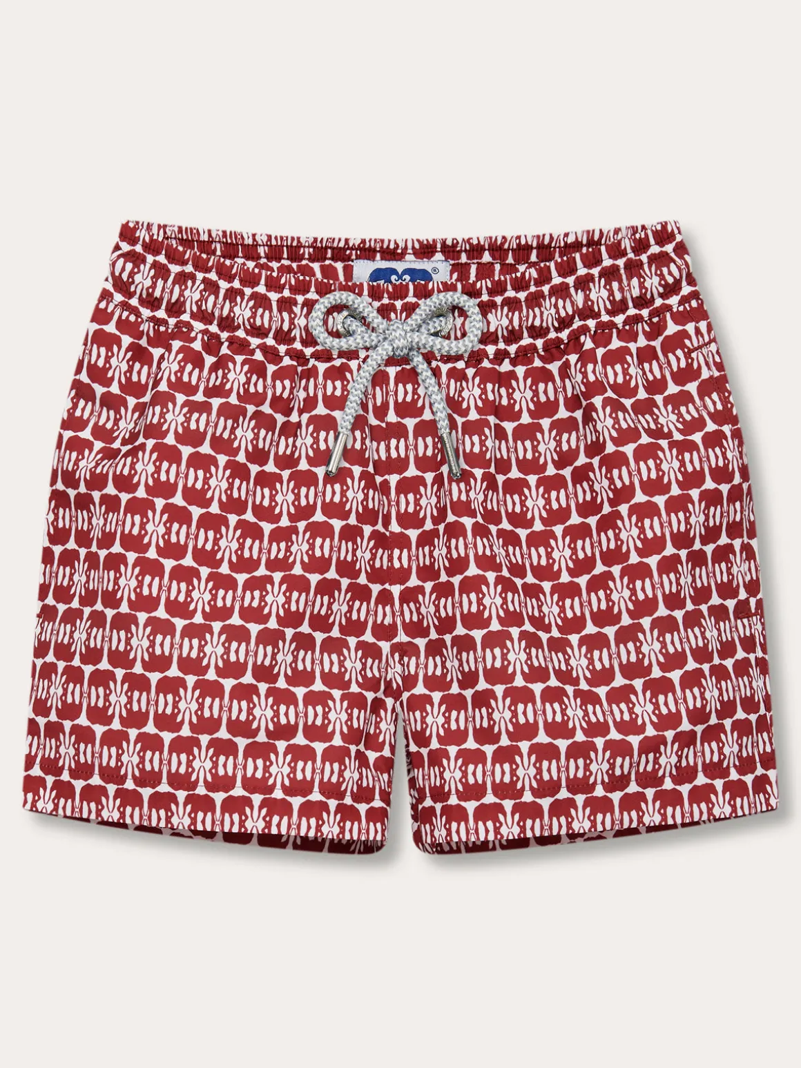 Boys Elephants of India Staniel Swim Trunks