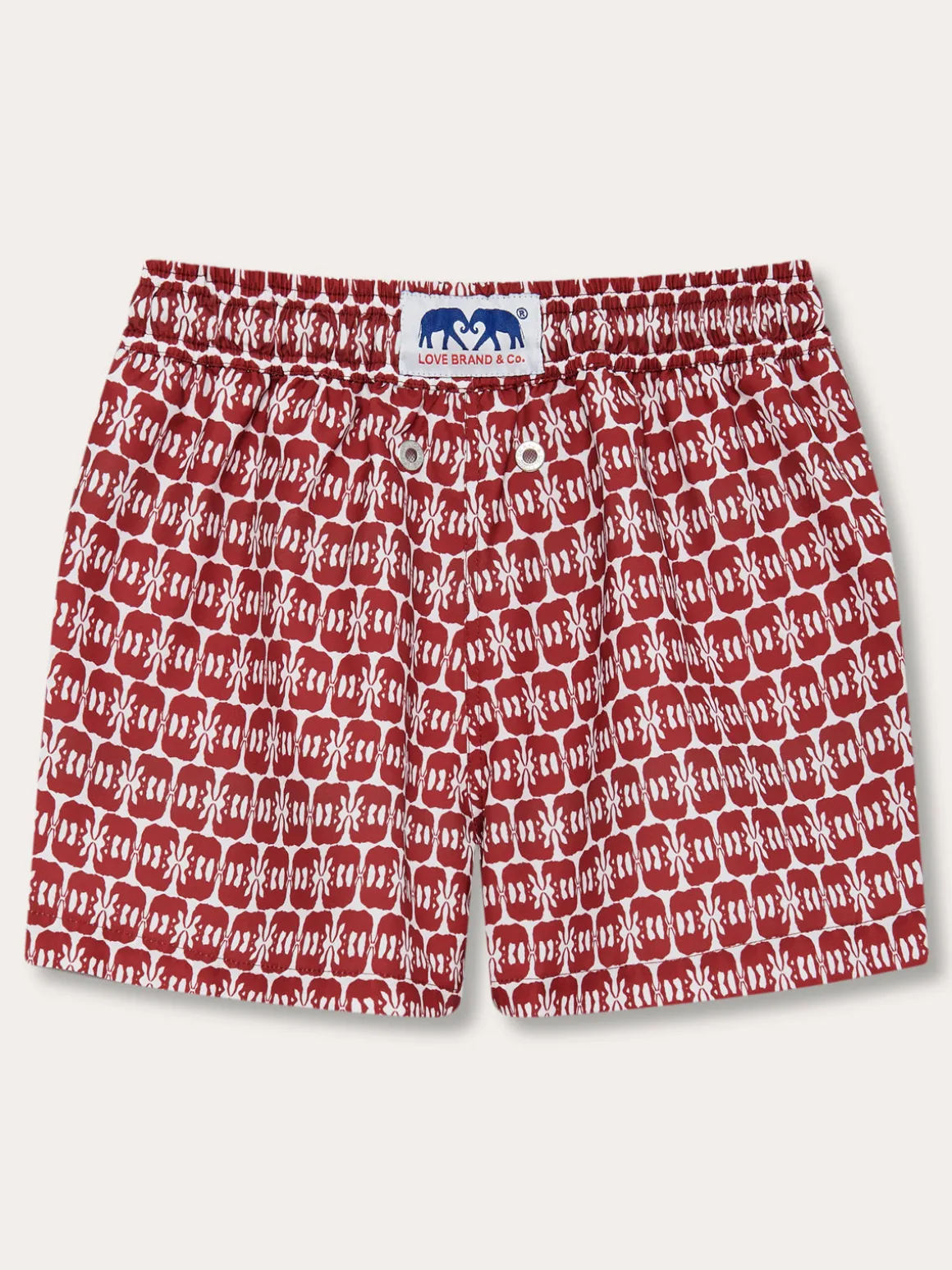 Boys Elephants of India Staniel Swim Trunks