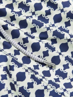 Boys Eye of the Tiger Staniel Swim Trunks