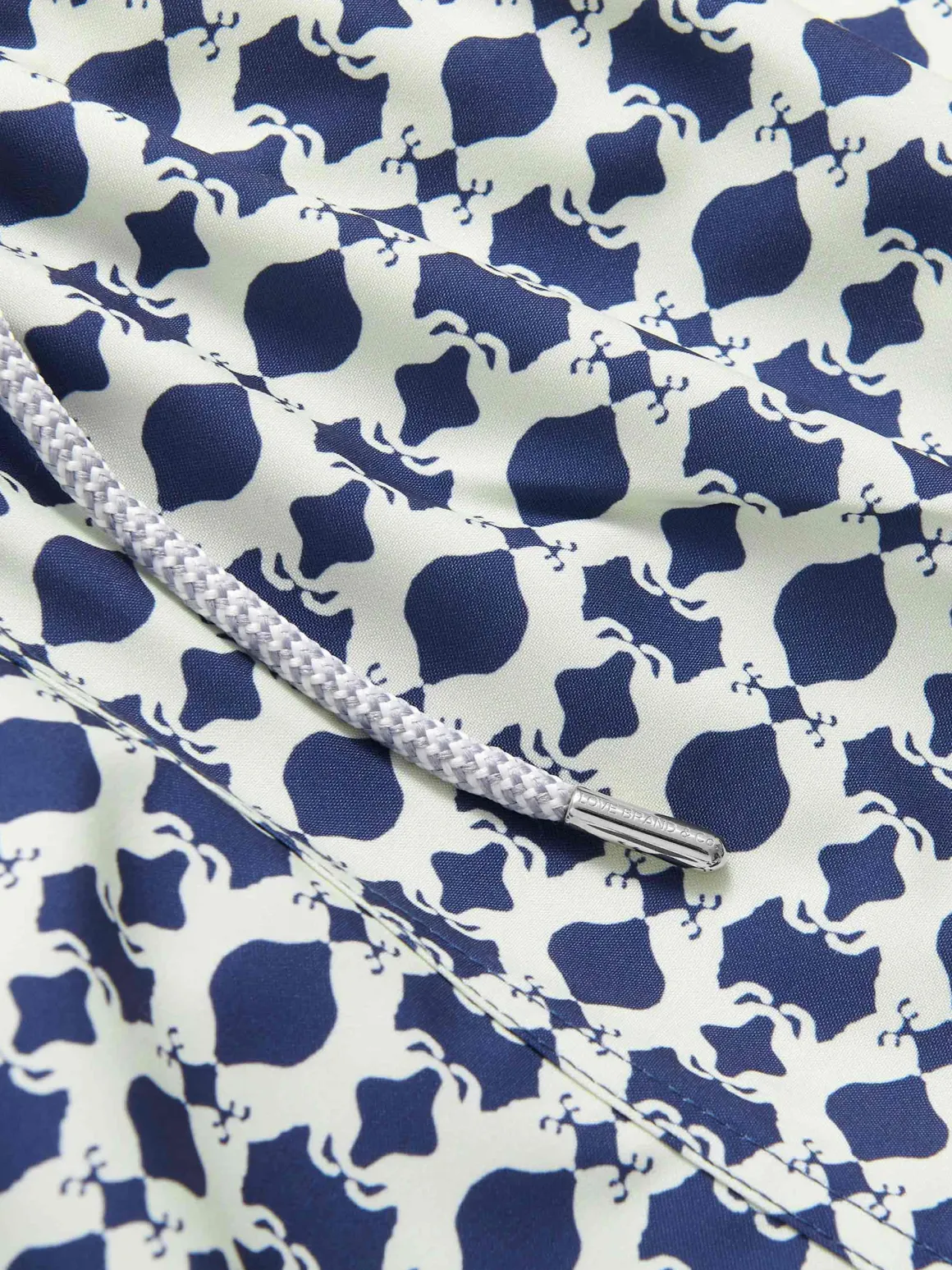 Boys Eye of the Tiger Staniel Swim Trunks