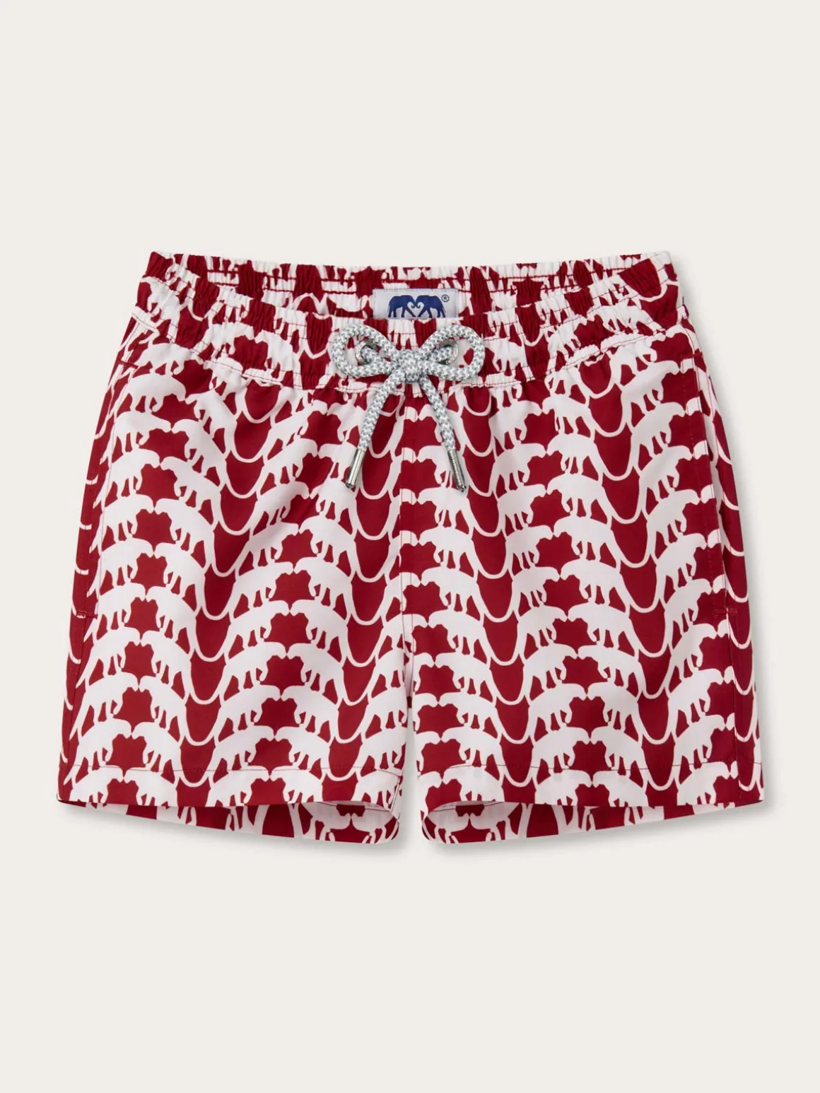 Boys Lurking Leopards Staniel Swim Trunks