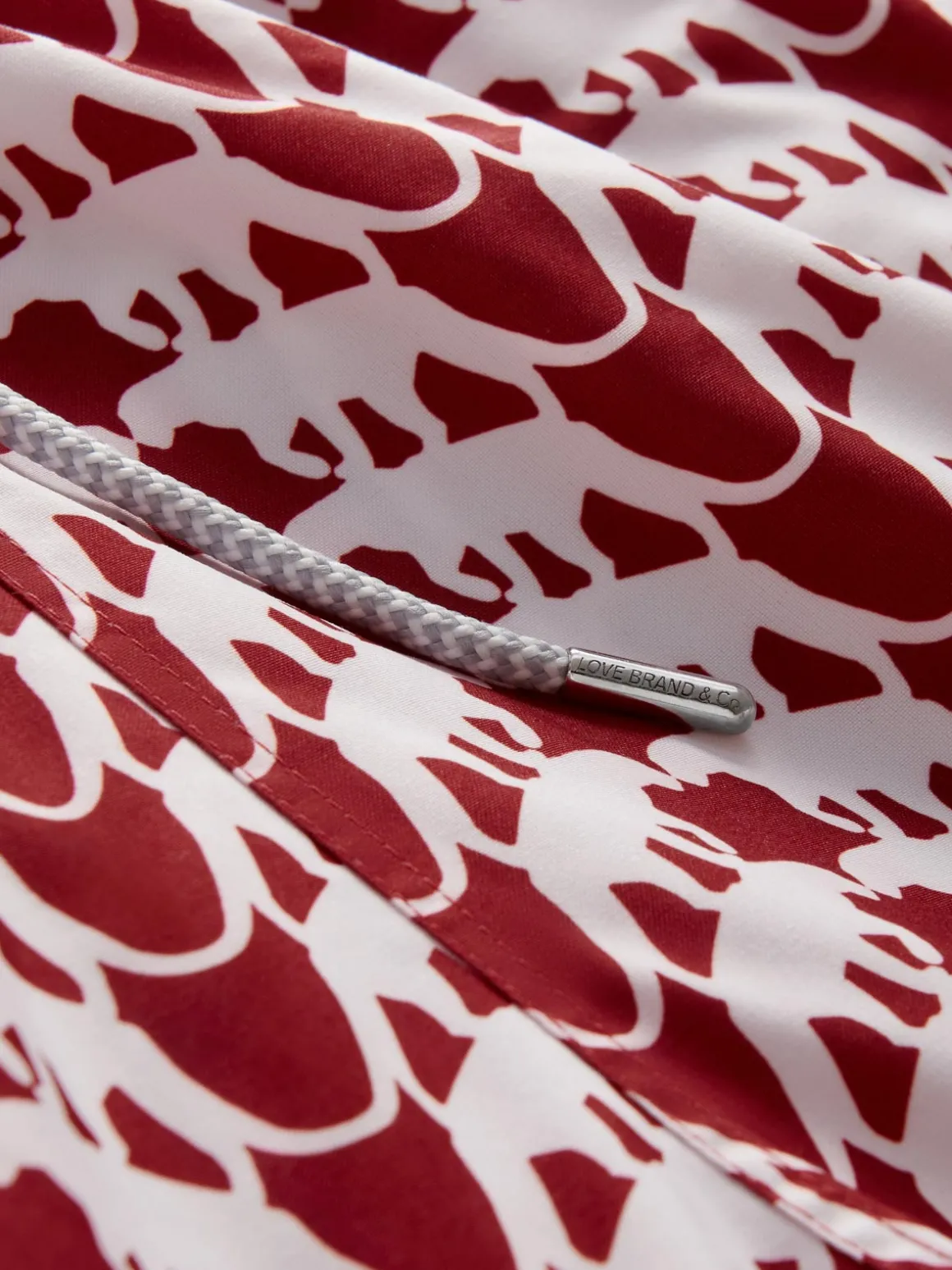 Boys Lurking Leopards Staniel Swim Trunks