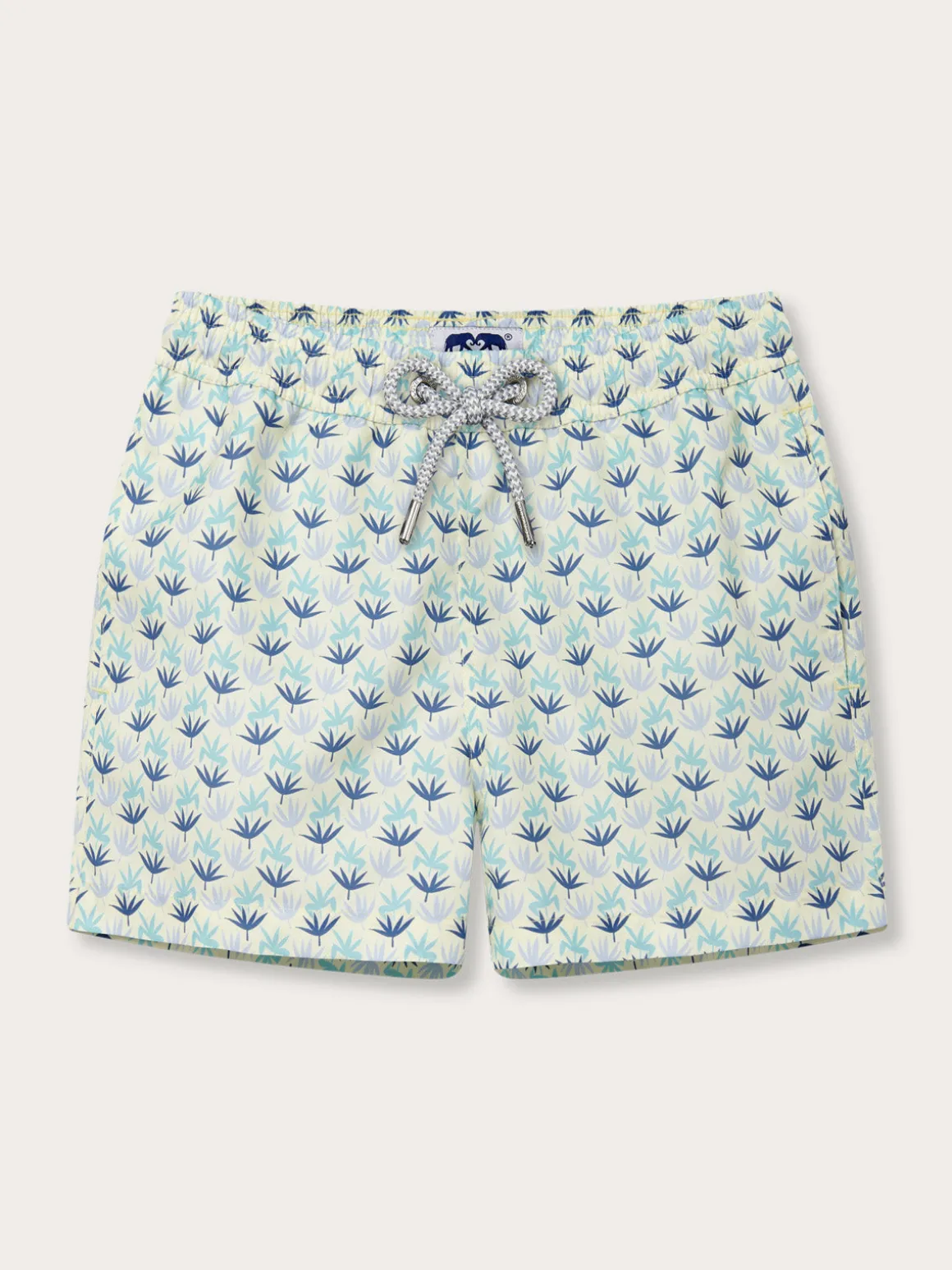 Boys Palm Sugar Staniel Swim Trunks
