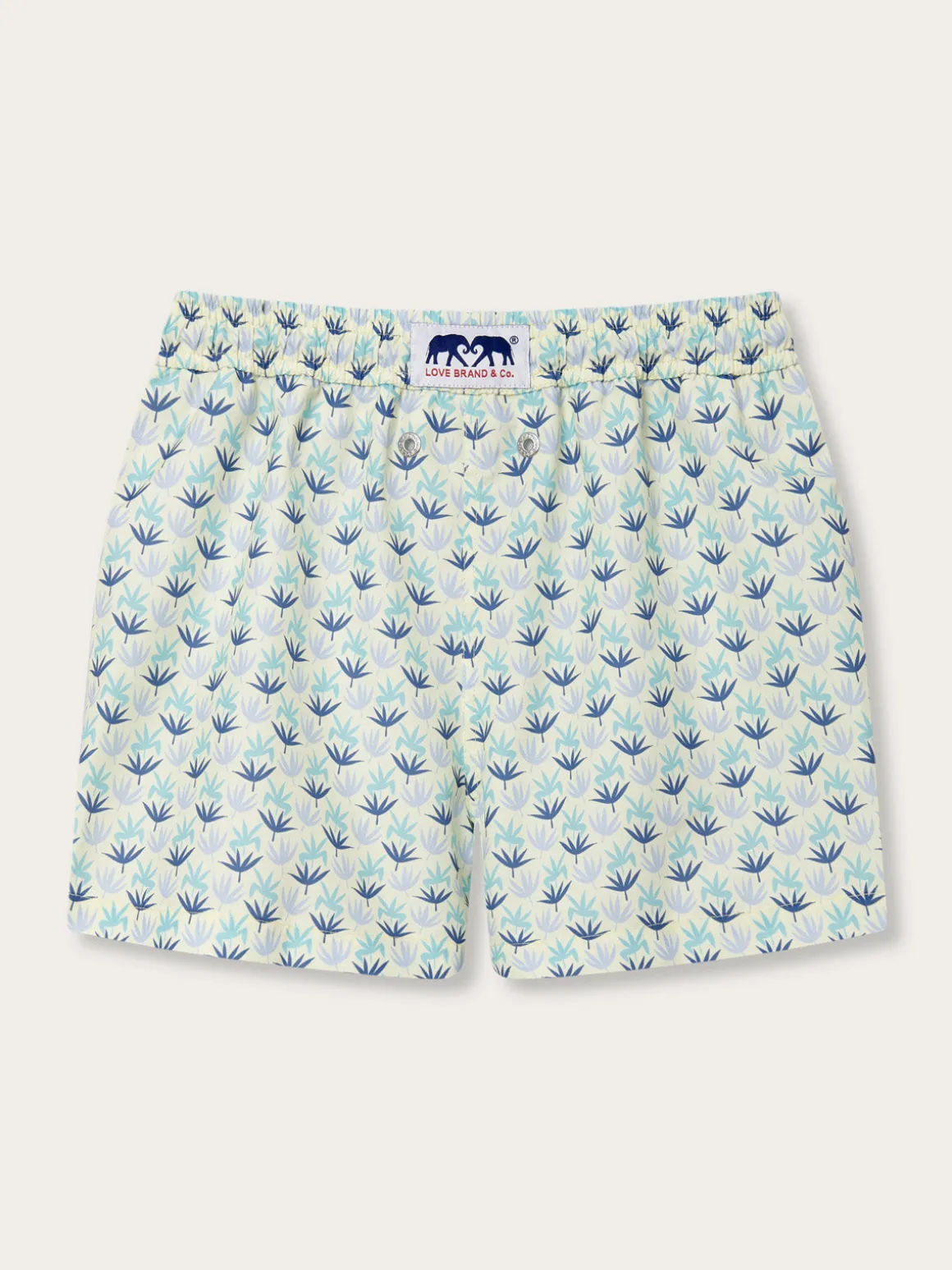 Boys Palm Sugar Staniel Swim Trunks