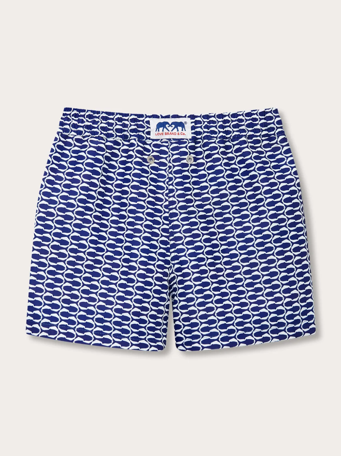 Boys Pine Cay Fish Staniel Swim Trunks
