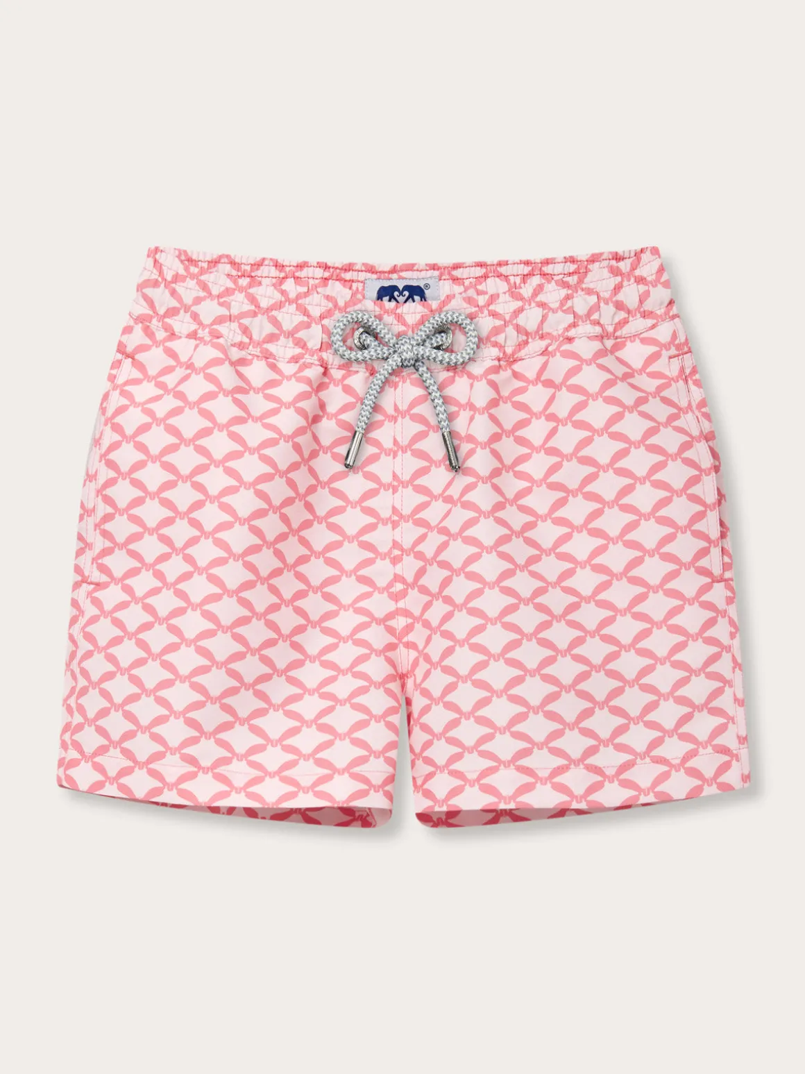 Boys Ray Rhythm Staniel Swim Trunks