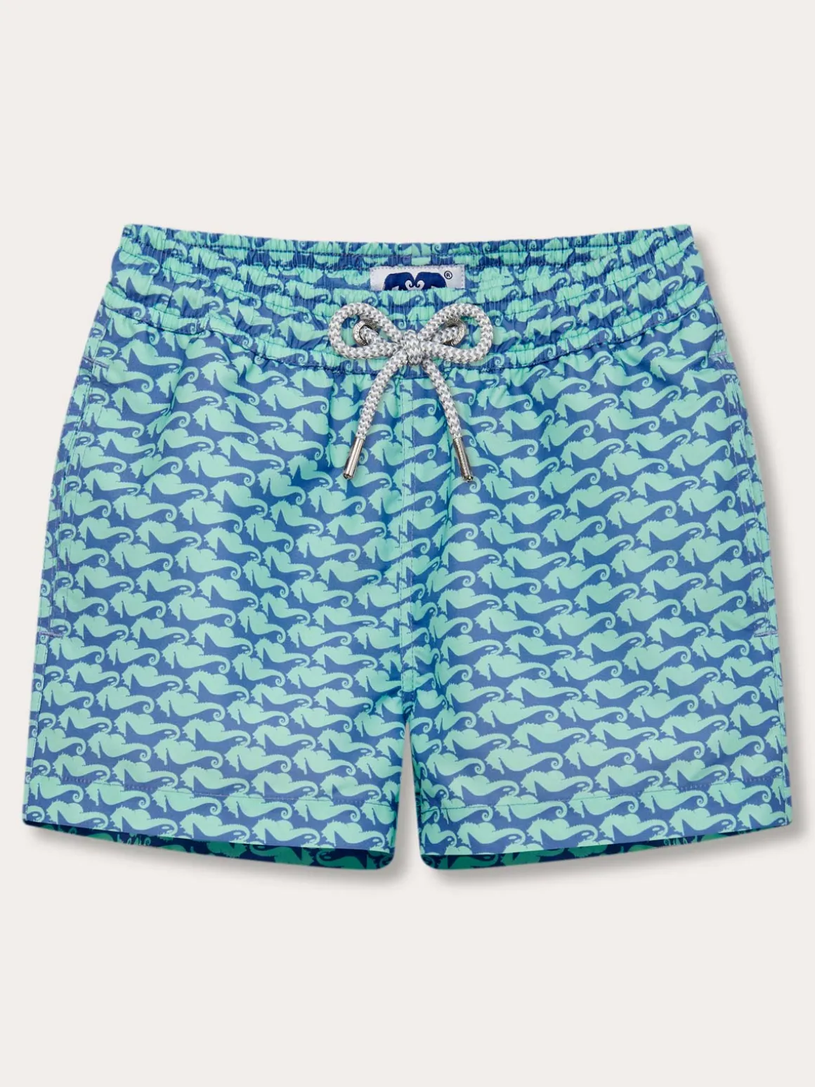 Boys Seahorses and Orcas Staniel Swim Trunks