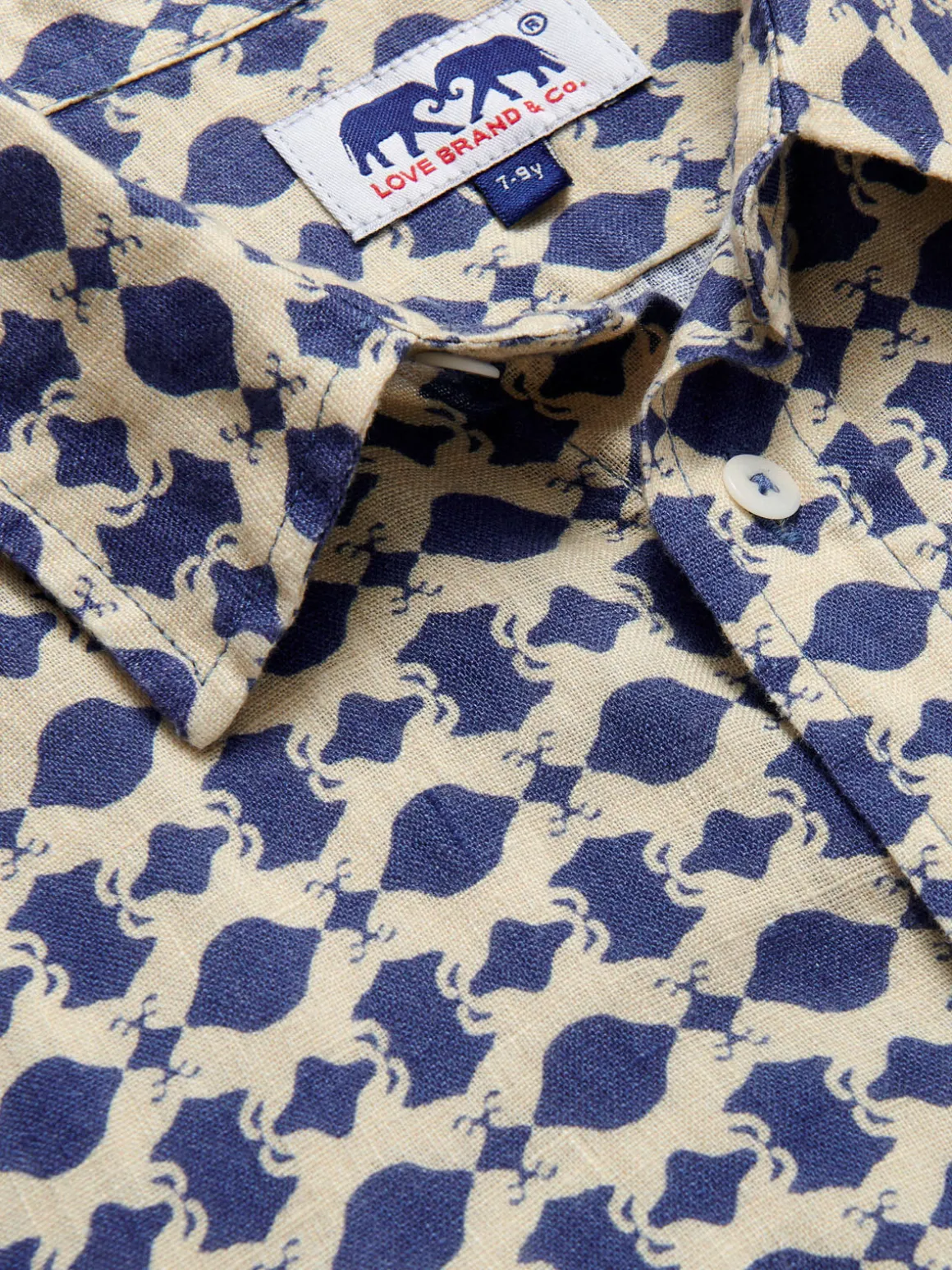 Kids Eye Of The Tiger Abaco Linen Shirt