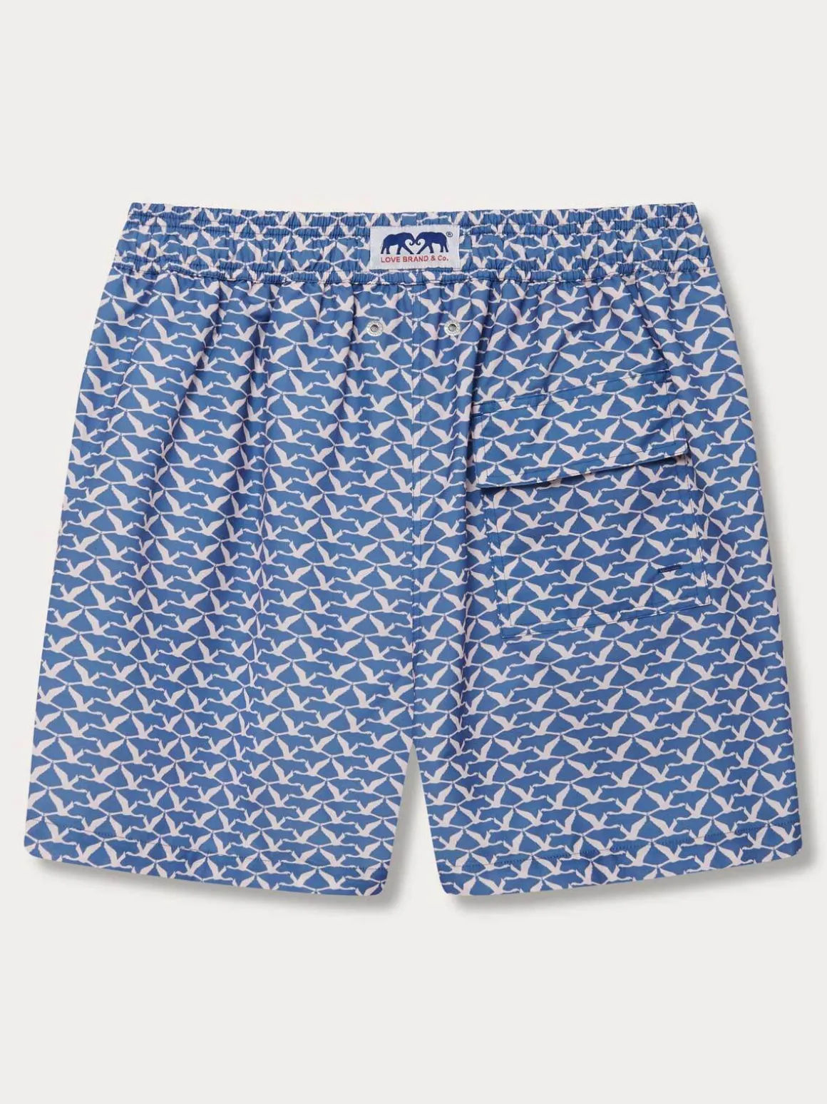 Men's Flamingo Flamboyance Staniel Swim Shorts