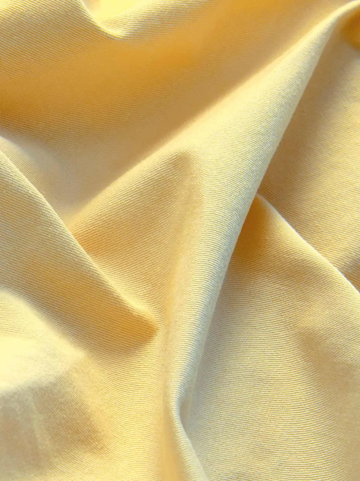 Men's Limoncello Harvey Cotton Shorts
