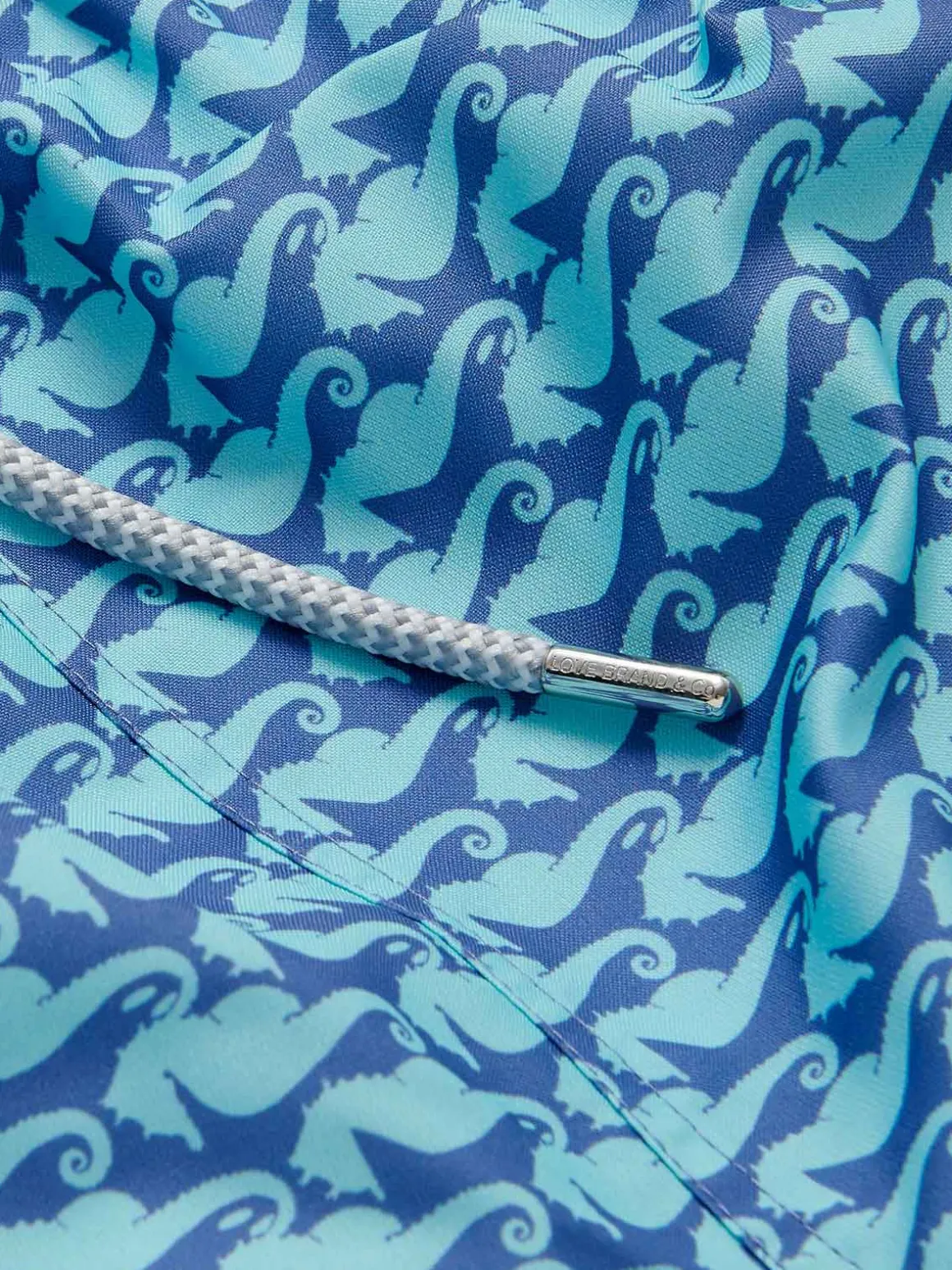 Men's Seahorses and Orcas Staniel Swim Trunks